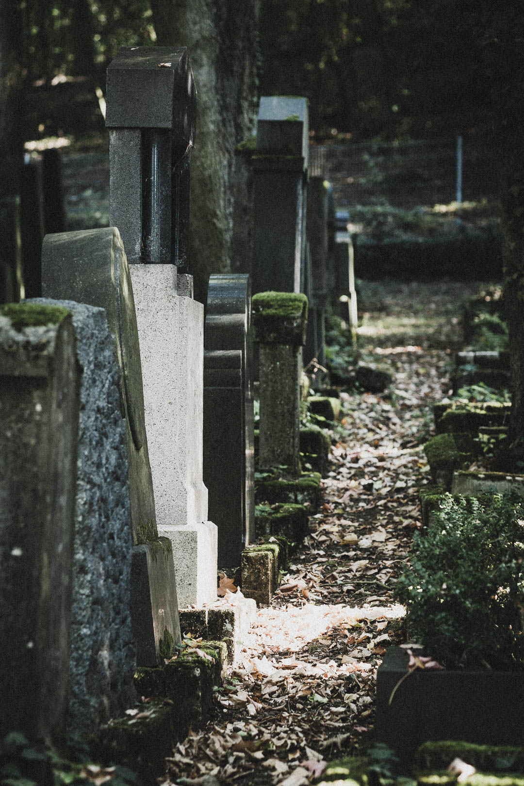Limburg an der Lahn, Jüdischer Friedhof